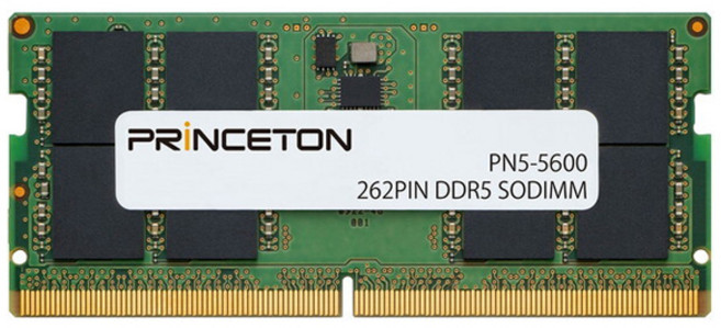 普林斯頓 筆記型電腦用記憶體 8GB, 1個, PN5-5600