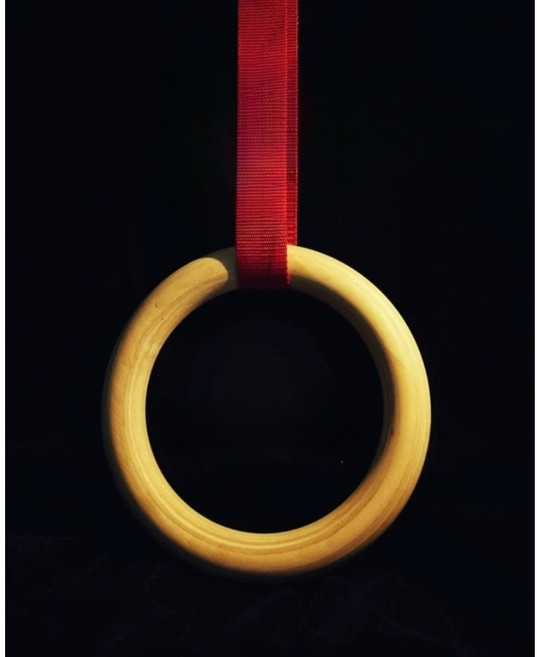 우드 짐링 크로스핏 철봉링 맨몸운동 머슬업, 1세트, 레드32mm