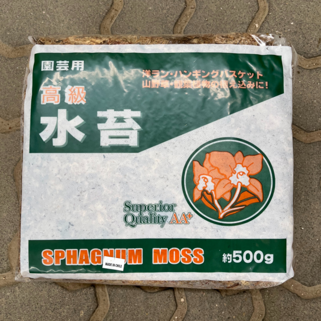 [우야플랜트샵] 칠레산 고급수태 대용량 500g, 1개