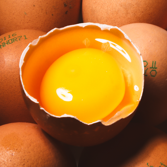 프리미엄 자연방사 국산 유정란 난각번호1번 엄선 달걀, 1개, 20구