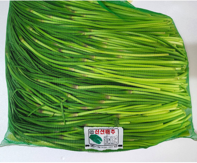 [국내산] 햇 마늘쫑 남해 마늘쫑, 2kg