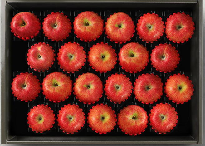 명절 선물용 경북사과 선물세트 5Kg 22과, 1박스