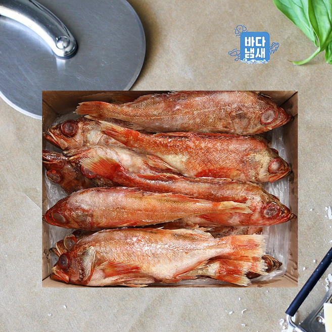 손질 적어 장문볼락 9kg 500/800g 대사이즈 열기 냉동 빨간고기, 1