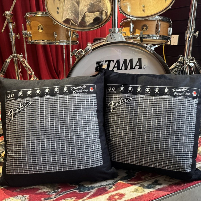 Fender 펜더 베이스 기타 앰프 프론트맨 10G 10W 2년 보증 6인치 스피커 MB, 50x50