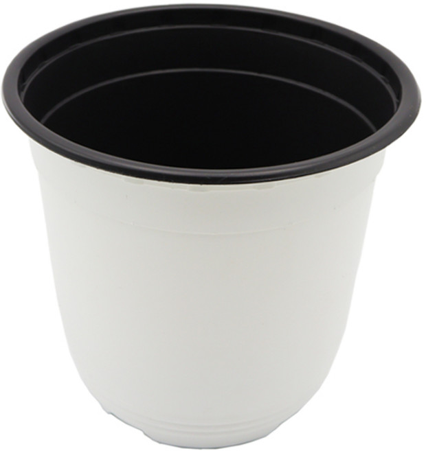 이색포트 150 (15cm) * 20개 묶음 연이네리틀팜, 혼합색상