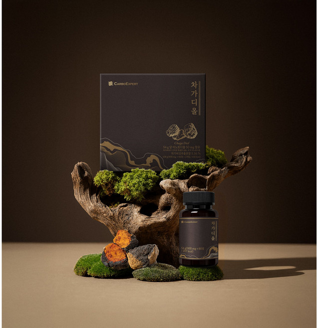 씹어먹는 차가버섯 제품 차가디올 1개월(120정), 1개, 60g