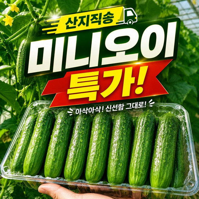 3위 - [산지직송 당일발송] 국내산 특품 미니오이 스낵오이 피클오이 미니오이 1박스 500g 1kg 2kg, 1개