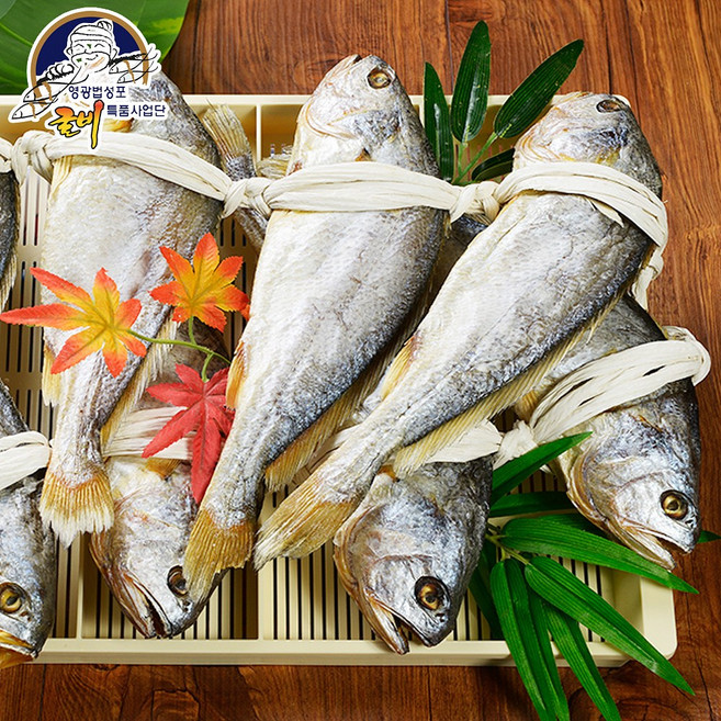 영광 법성포 오양굴비 보리굴비 10마리 부세7호 (26cm이상), 1