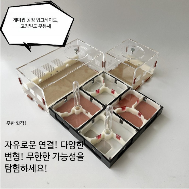 개미집 키우기 둥지 키트 앤트하우스 아크릴 사육 여왕개미 집 작업장 실내 상자 소형 여왕, 1개, 표준 둥지