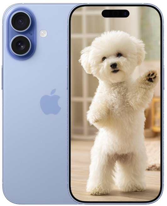 i폰17 미개봉 새상품, 256GB, 옵션명 아이폰 블루