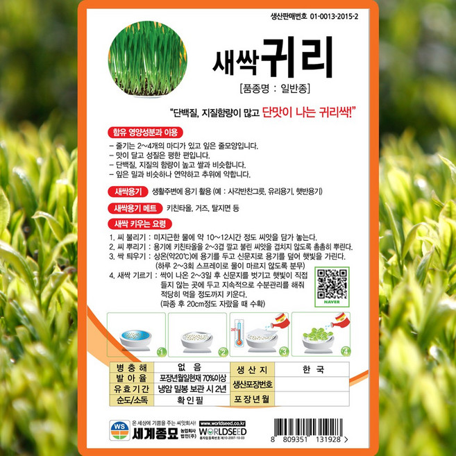 세계종묘 새싹귀리 씨앗 500립 새싹 귀리씨 종자, 1개