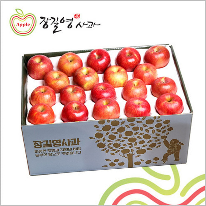 장길영 프리미엄사과 10KG 중과(33-39과) 청송사과 산지직송 햇사과, 1세트, 10kg(33-39과)
