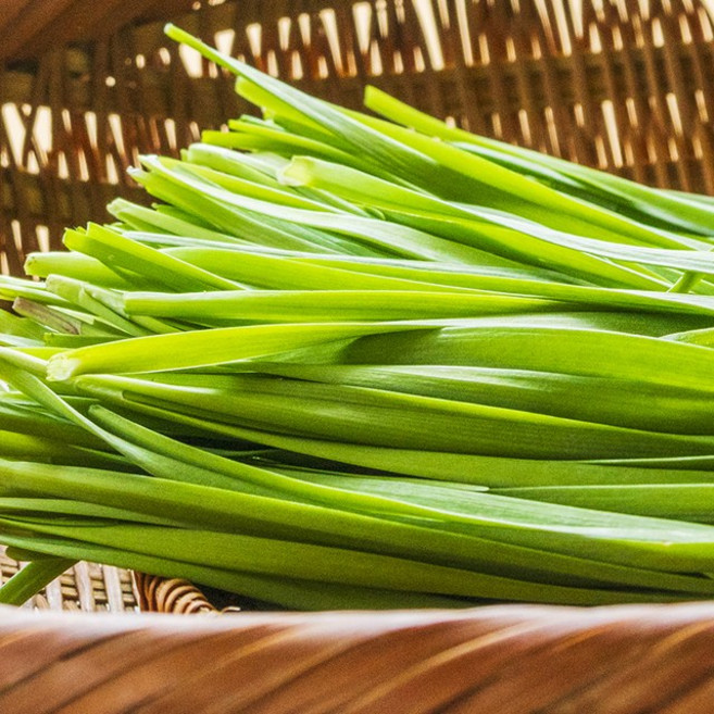 친환경 무농약 부추 1kg 2kg, 1박스