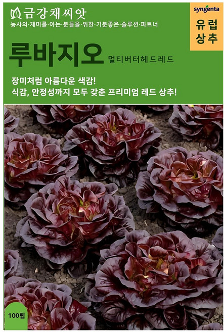 유럽상추 루바지오 종자100립 멀티버터레드, 1개