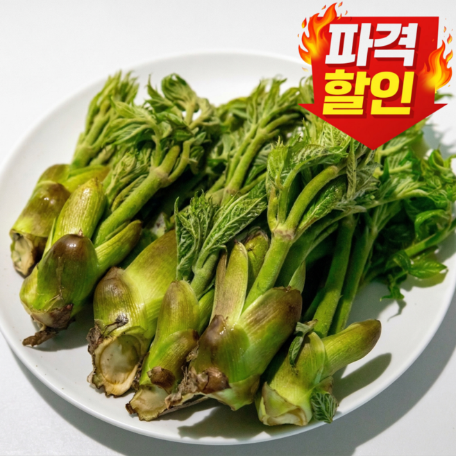 [타임특가]4월제철음식 산지직송 청도참두릅 봄나물, 1박스, 500g