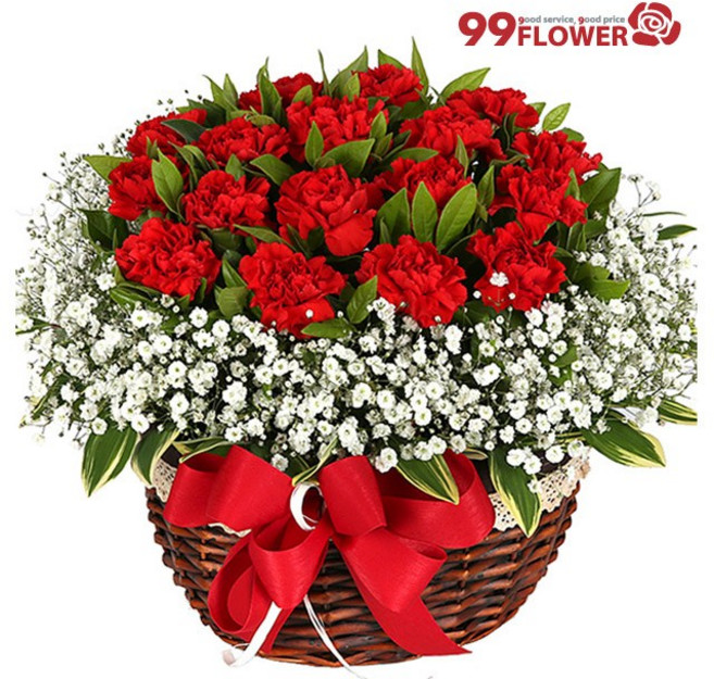 (오늘도착) 어버이날 프리미엄 카네이션 꽃바구니 레드카네이션 안개꽃 생화 부모님선물 어버이날선물 효도선물 당일꽃배달 [ST-A1696]
