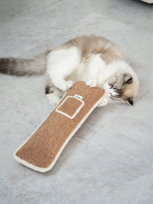 펫타임즈 포켓캣닢쿠션 속 까지 꽉찬 캣닢 쿠션 대형, 데님브라운, 1개