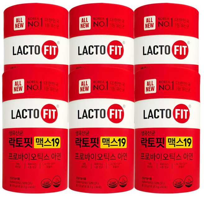 종근당건강 락토핏 맥스19 유산균 프로바이오틱스 아연, 120g, 6개