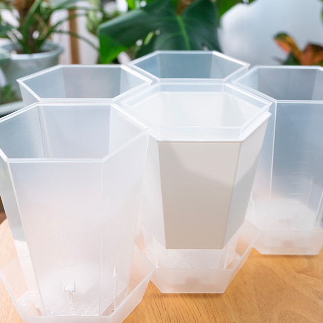 갑조네 육각 플분 플라스틱화분 슬릿분 투명, 육각 플분(화이트반투명), 쉴드(아쿠아)+물받침+깔망, 1개