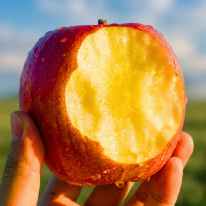 [재방문1위] 파격할인 고당도 부사 사과, 1개, 2kg