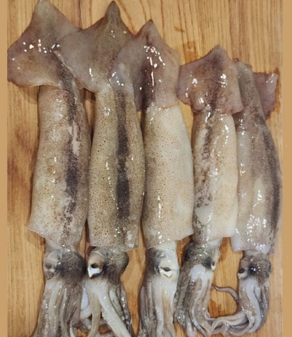 국내산 냉동 손질 오징어 3미 숙회 볶음 반찬용 요리 재료 수산물 dar446wN, 1개, 단일