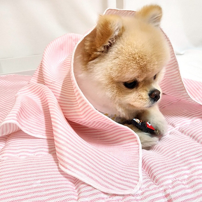 해피앤퍼피 시원한 강아지이불 20가지 디자인 강아지 고양이 여름 인견블랭킷 오가닉블랭킷 낮잠이불 담요, 핑크스트(인견)