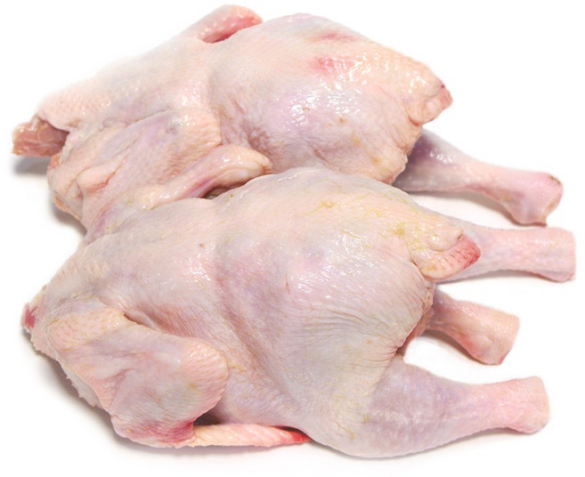 가나안식품 영계 삼계탕 닭 백숙 생닭, 450g, 2개