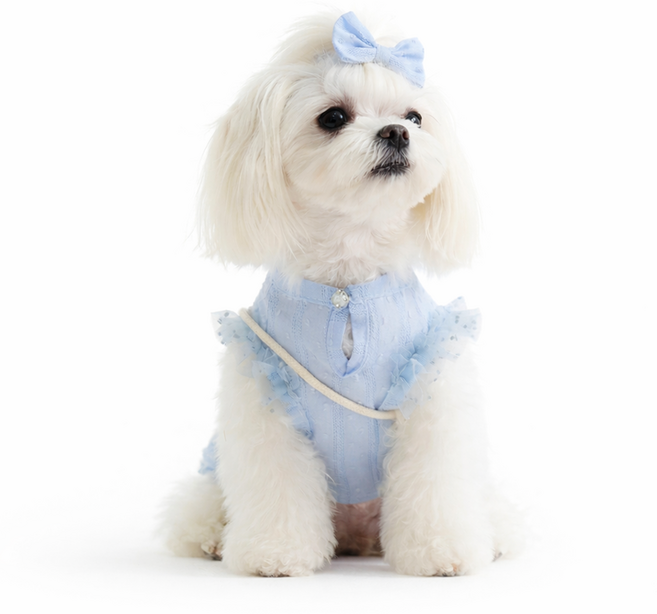 렛츠독 강아지 레이스 리본 가방 순면 엘리스 티셔츠 봄옷 세트, 1개, 엘리스블루세트