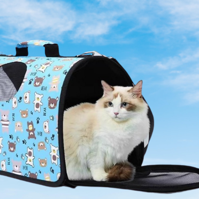 슈프리독 아기고양이 반려묘 휴대용 캐리어 메쉬 삼면통풍 통기성 백팩 이동장 어깨슬링 가방, 블루, 1개