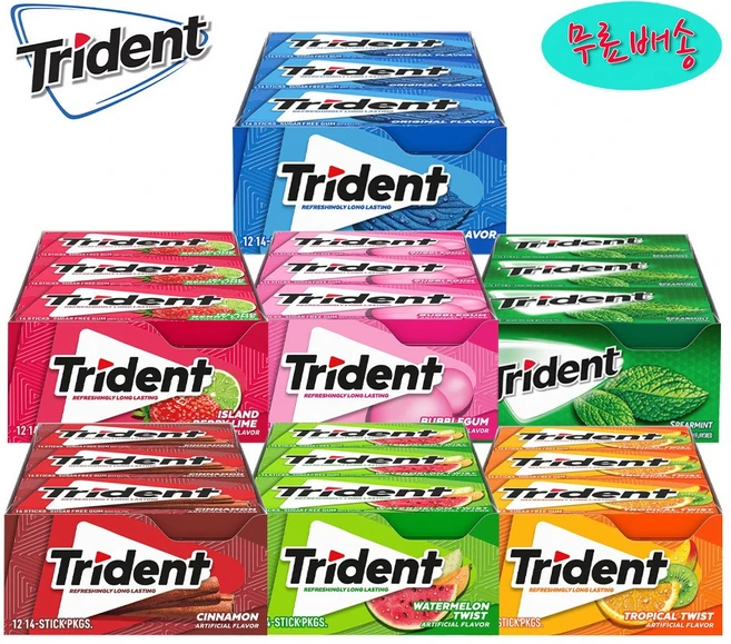 트리덴트 슈가 프리 껌 14개입 12팩, Spearmint - 쿠팡