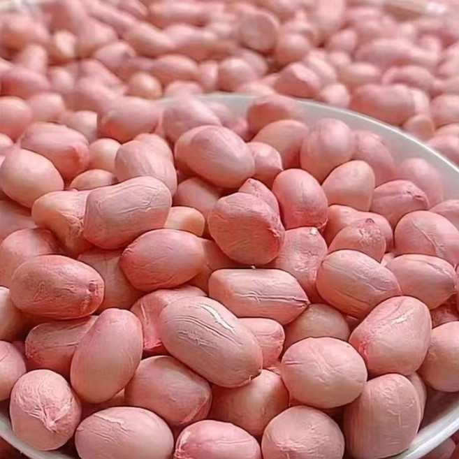 깐땅콩 생땅콩 땅콩 수입생땅콩2025, 1개, 5kg
