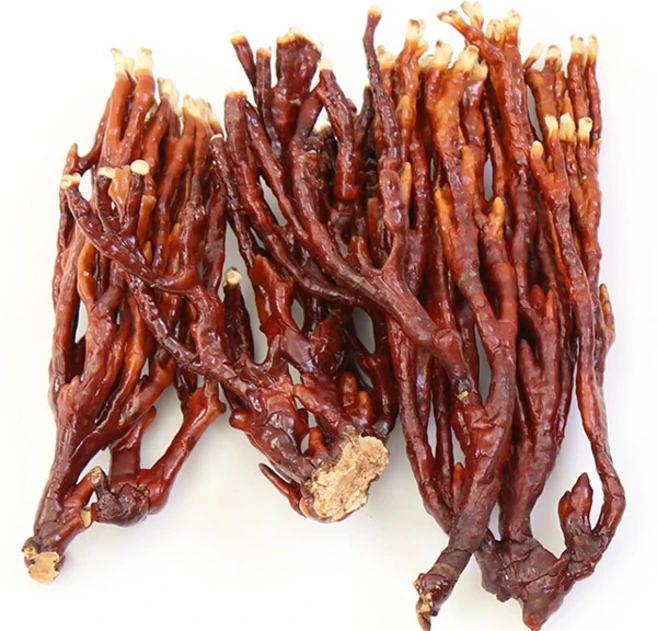 무농약 녹각영지버섯 소포장 100g, 1개 - 쿠팡