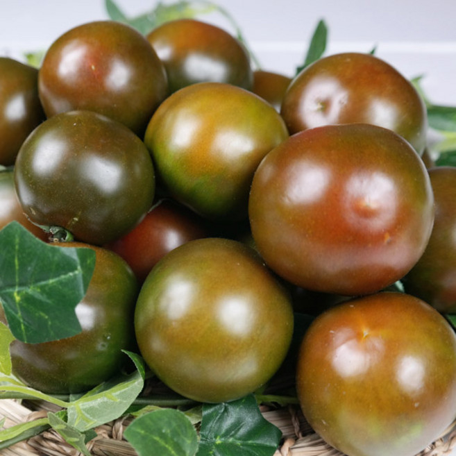 [이벤트]흑토마토 2kg / 2개 구매 시 대용량 5kg 발송, 1박스, 2kg(소과)