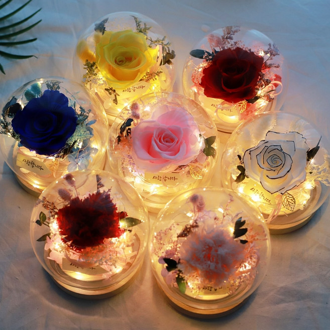드라이플라워 프리저브드플라워 시들지않는꽃 LED 꽃 무드등 카네이션 장미, 1개, 프리저브드 LED유리돔: 카네이션(레드)