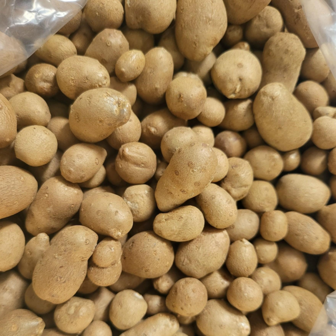 국내산 안동 산마 씨앗 마씨앗 마씨1kg 8800, 1박스, 마씨 2kg