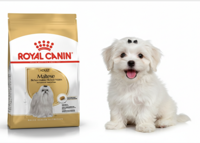 로얄캐닌 말티즈 어덜트 1.5kg kal*2971Vp, 곡물, 1개