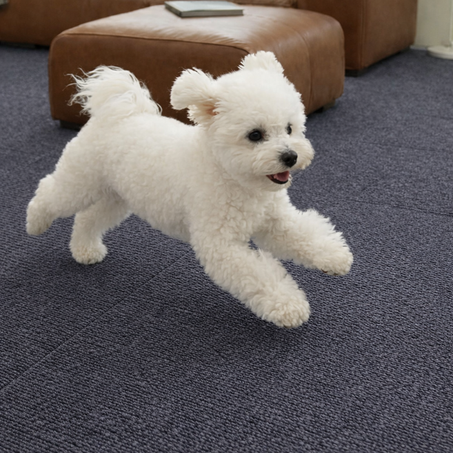노는 개 최고양 접착제 남지 않는 흡착식 강아지 고양이 미끄럼 방지 거실 매트, 10개, 다크 그레이