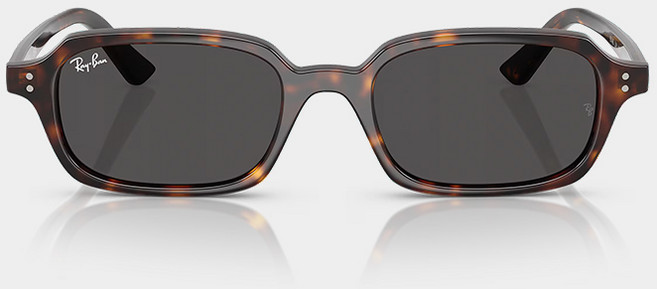 레이벤 NEW 주리 미니멀 긱시크 호피 뿔테 선글라스 RB4455 ZURI 135987