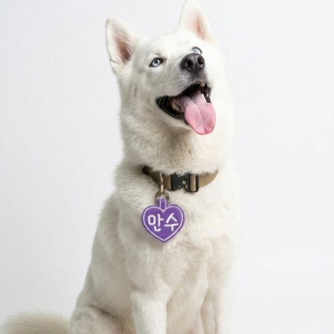 콜마이네임 무지개하트 네임택 강아지 대형견 자수 이름표 인식표, 1개, 보라색-VIOLET