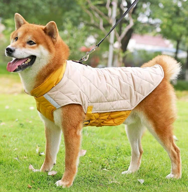 제이펫독 소형견 대형견 강아지 퀼팅 패딩조끼 4종, 블루