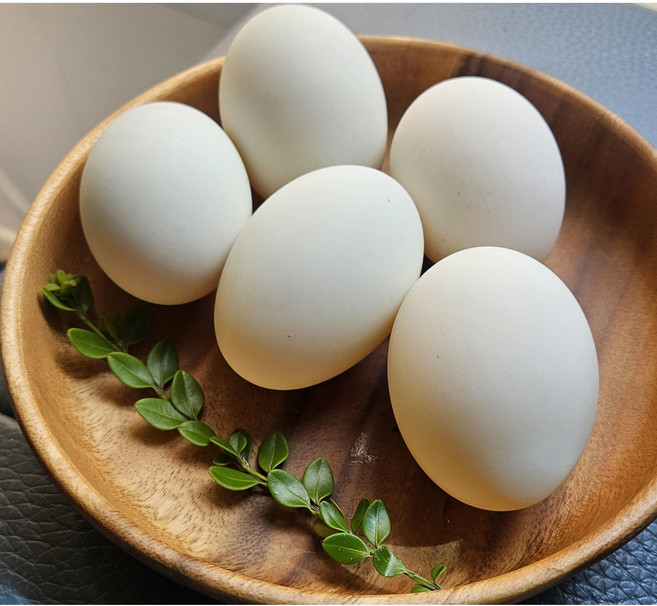 자연방사 국내산 오리알 왕란 45구, 80g, 45개