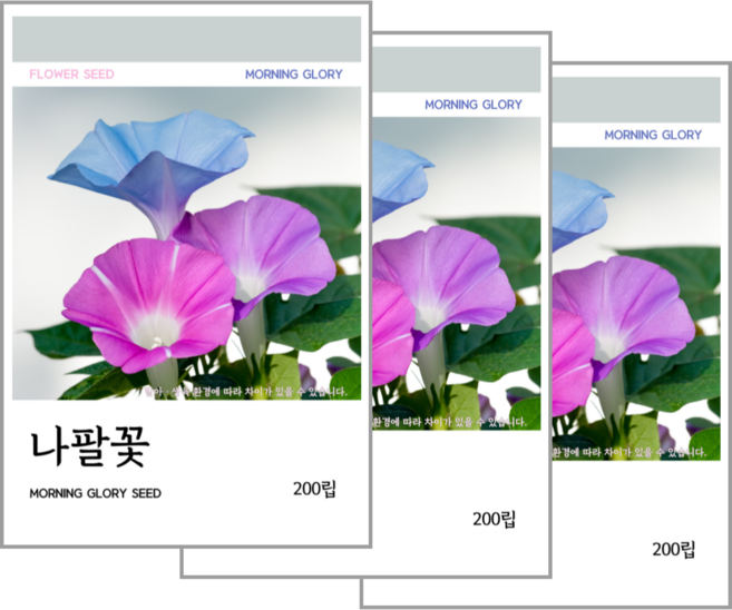 새싹바라기 나팔꽃 씨앗 200립, 3개