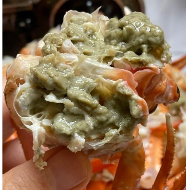 [산지직송] 프리미엄 홍게 대게 품질보증 영덕 울진 포항 자숙 연지홍게 박달홍게 3kg, [프리미엄]정품형 3kg 9~11미, 1개