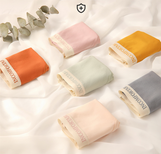 여성 데일리 스판 면팬티 6종