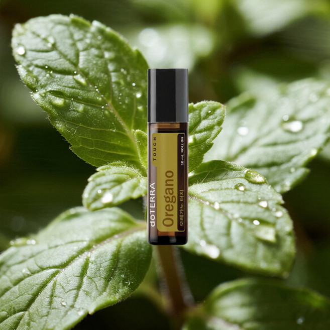 도테라 에센셜 오일 오레가노 터치 피부청결 정화 세정 10ml, 1개