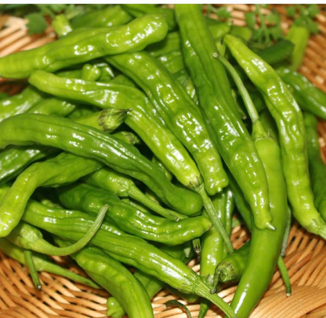 꽈리고추(상) 4kg 1박스 자연대로팜웨이, 꽈리고추4kg 1박스