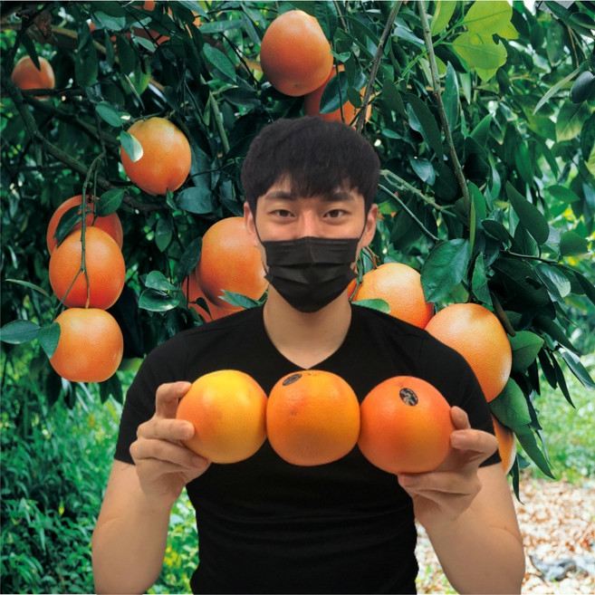 탐란다수입과일 못난이 항공 고당도 레드 생 자몽 생과 대과, 10개, 중대과