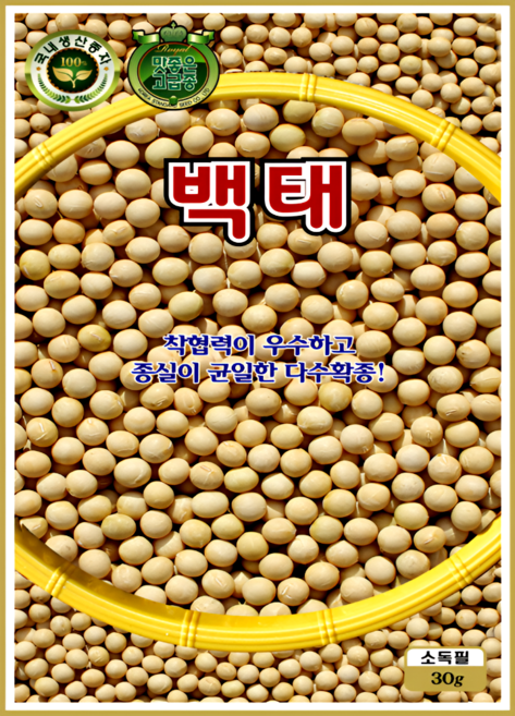 KS종묘 백태 메주콩 씨앗 30g 일반종 장류용 콩 종자 ks, 1개
