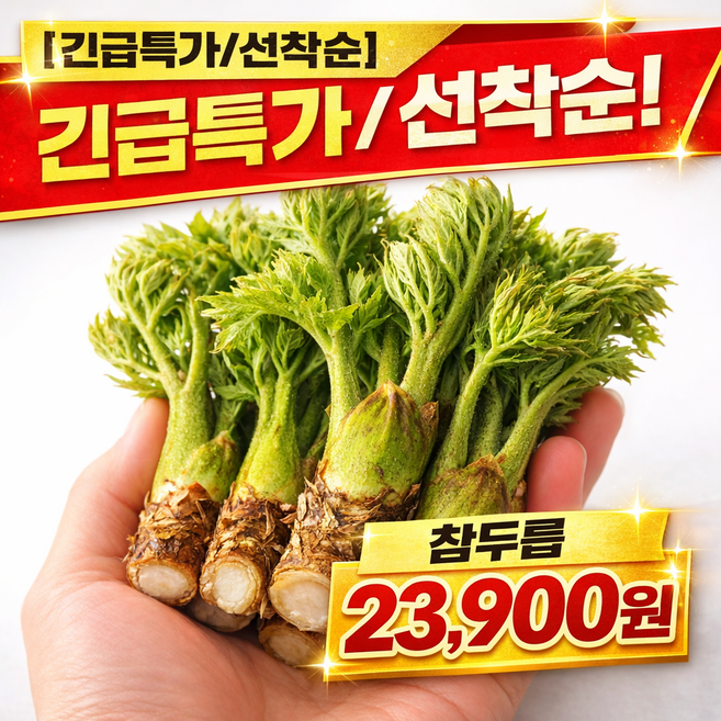 참두릅 특품 산지직송 향긋한 봄나물 500g 1kg, 1박스