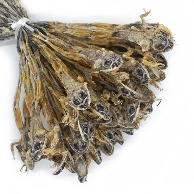 말린 황소개구리 (소) 1묶음, 10g, 10개